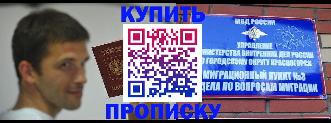 временная регистрация 2025 в Коле