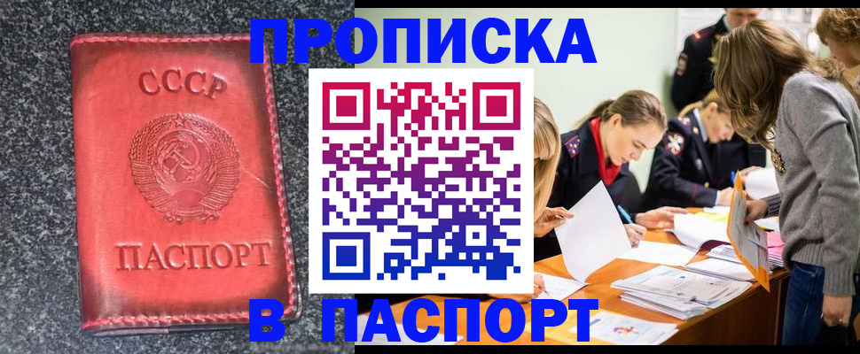 прописка для школы в Коле